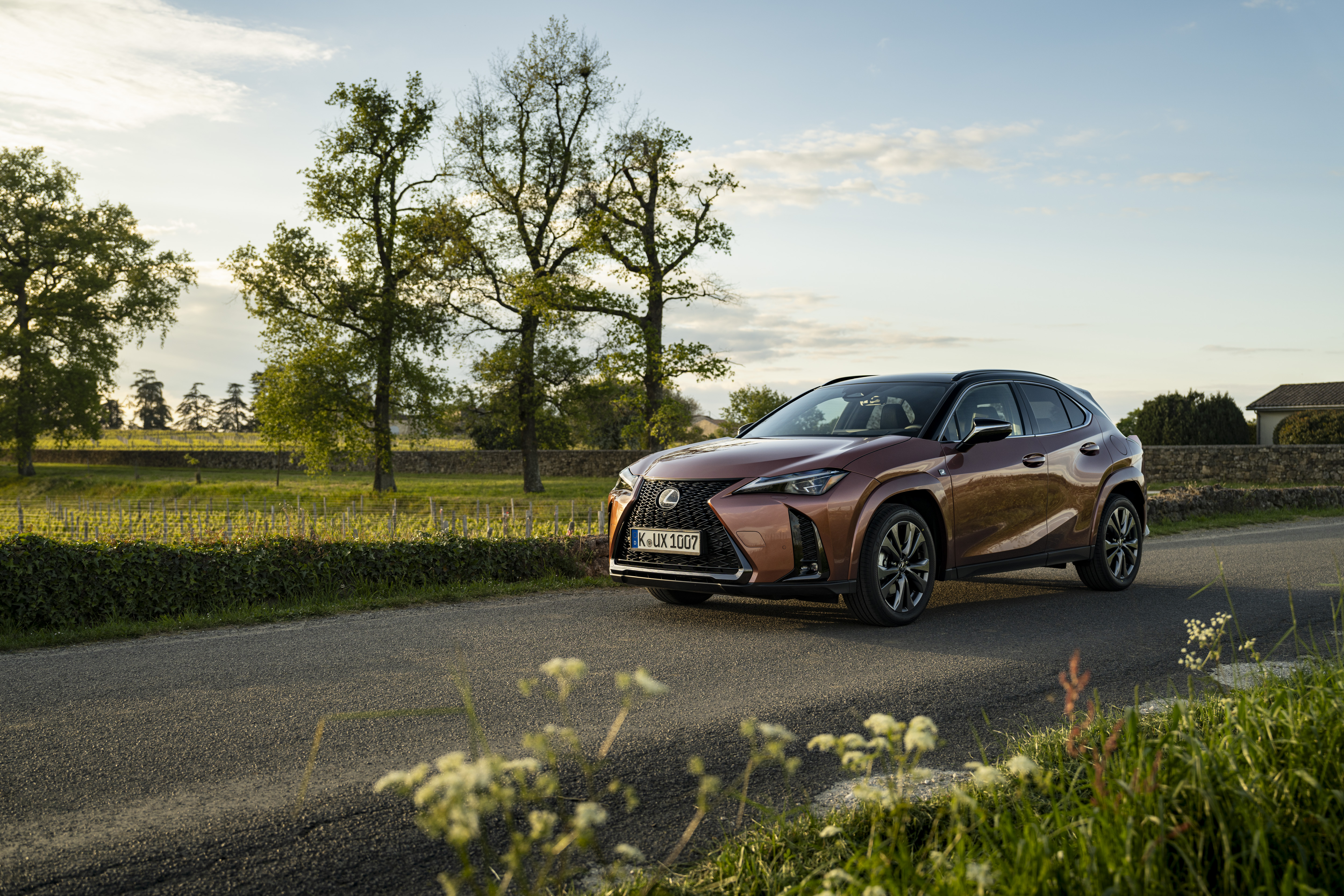 Startschuss für den neuen Lexus UX 300h <br>
Attraktive Leasingraten für Privat- und Gewerbekunden
