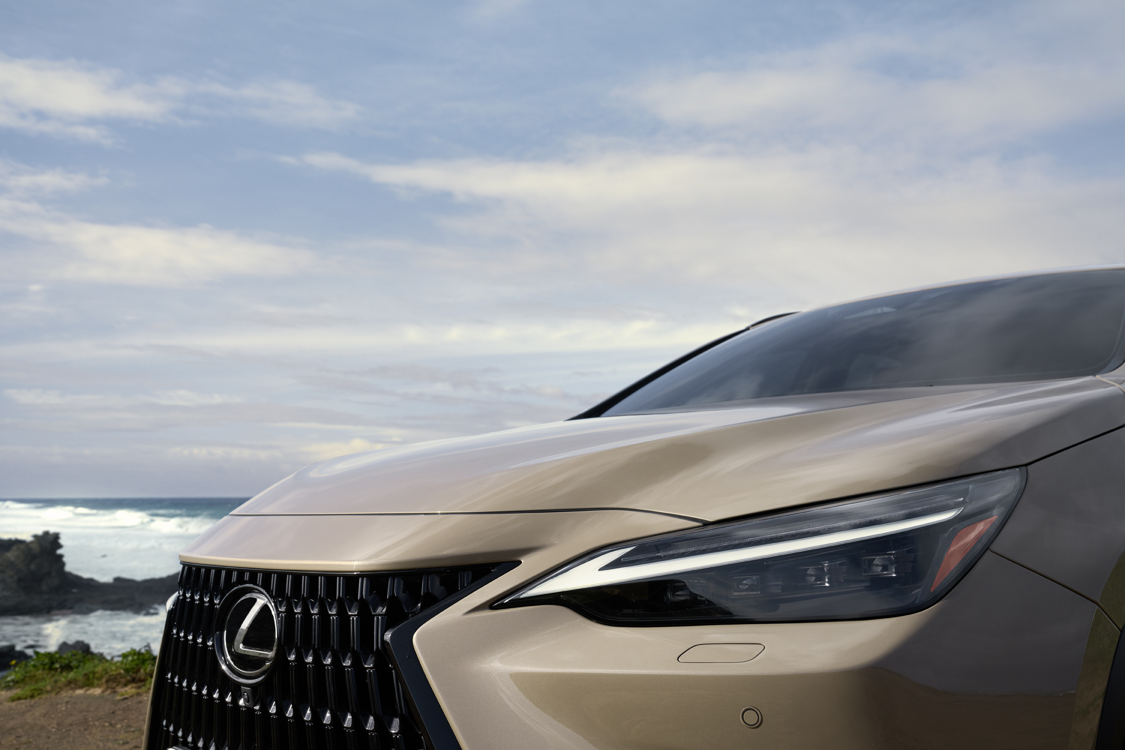 87461 Lexus NX Overtrail