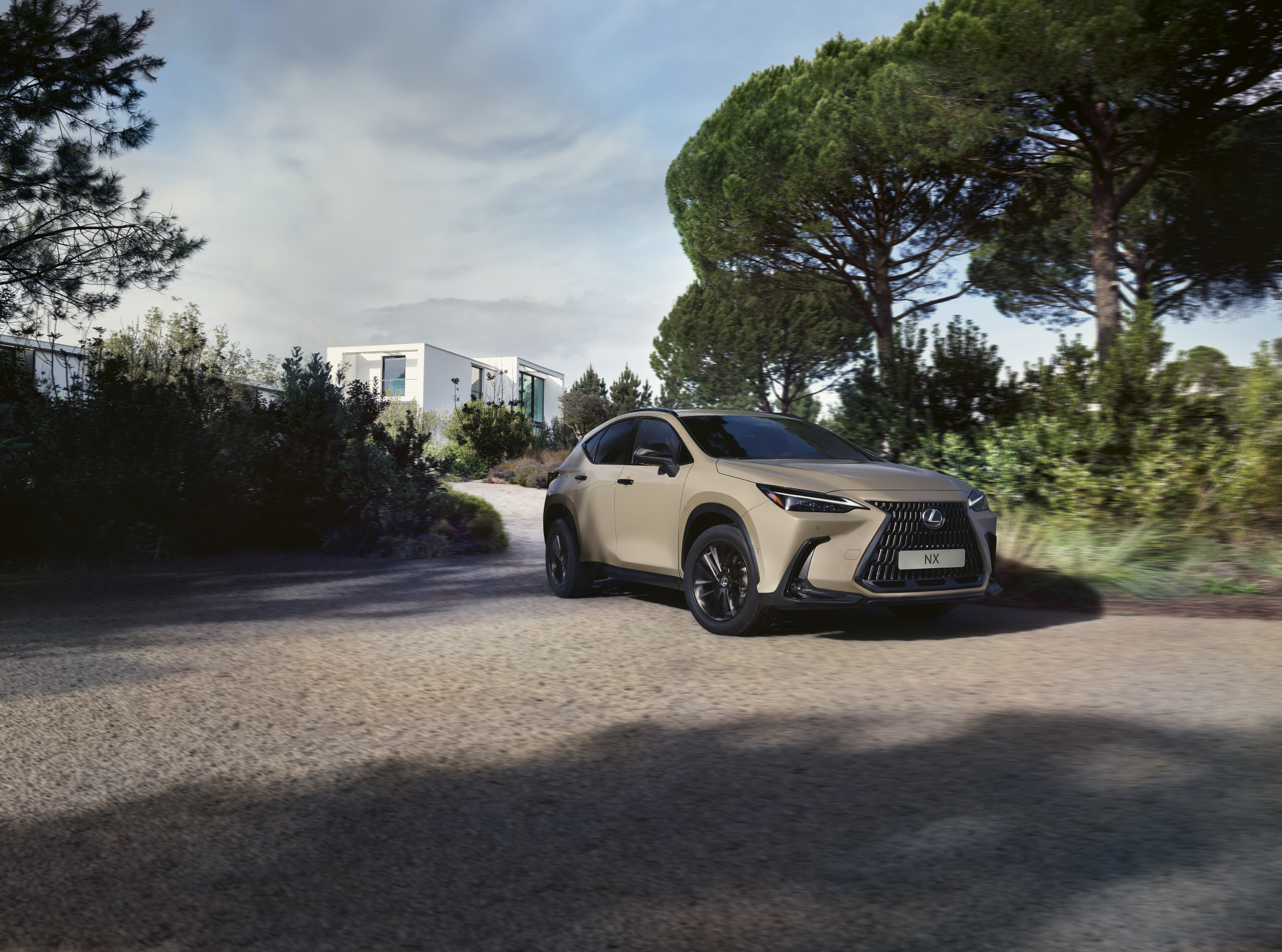 87462 Lexus NX Overtrail